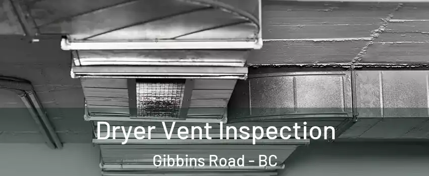  Dryer Vent Inspection Gibbins Road - BC