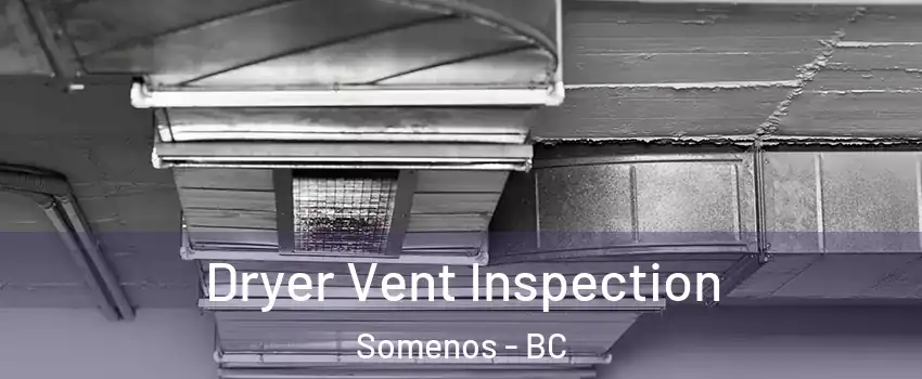  Dryer Vent Inspection Somenos - BC