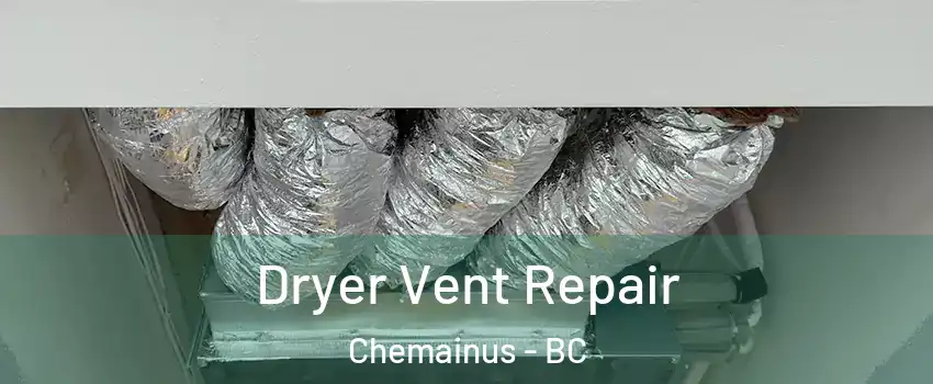 Dryer Vent Repair Chemainus - BC