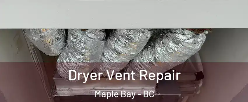  Dryer Vent Repair Maple Bay - BC