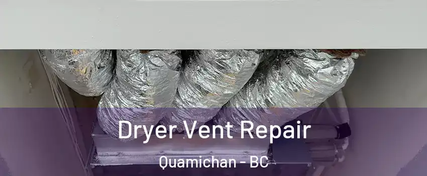  Dryer Vent Repair Quamichan - BC