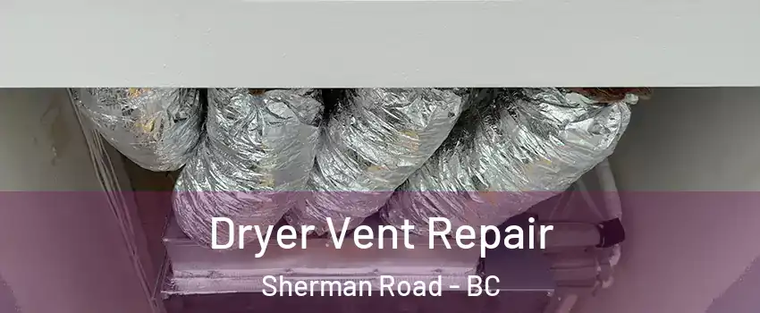  Dryer Vent Repair Sherman Road - BC