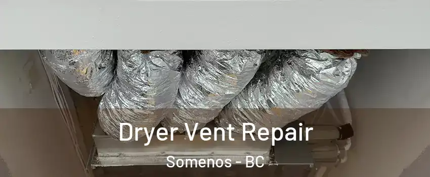  Dryer Vent Repair Somenos - BC