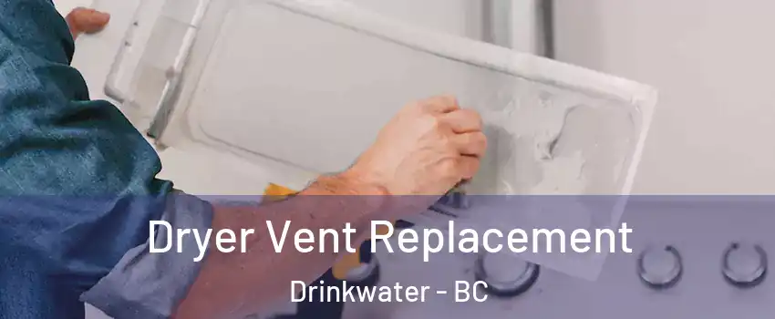  Dryer Vent Replacement Drinkwater - BC