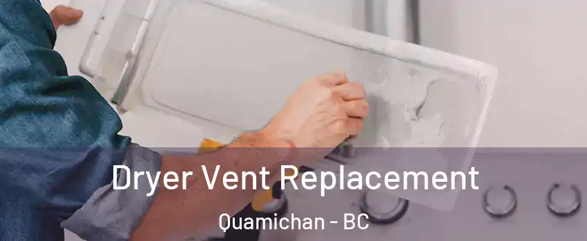  Dryer Vent Replacement Quamichan - BC