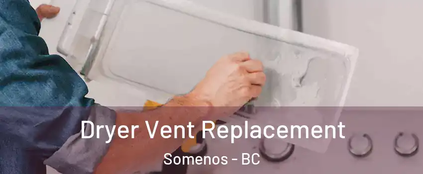  Dryer Vent Replacement Somenos - BC
