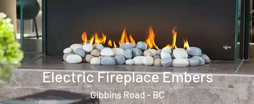  Electric Fireplace Embers Gibbins Road - BC