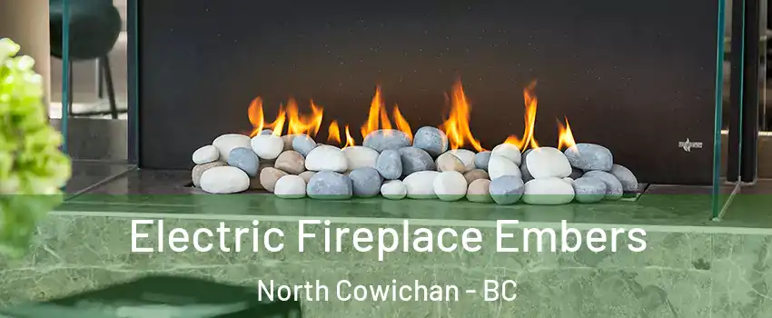  Electric Fireplace Embers North Cowichan - BC