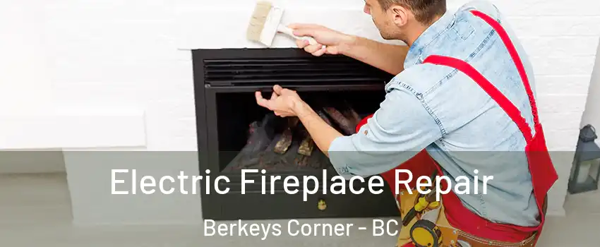  Electric Fireplace Repair Berkeys Corner - BC