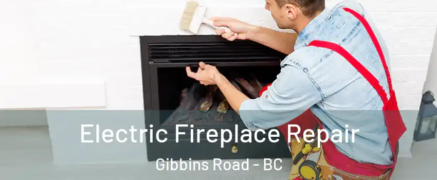  Electric Fireplace Repair Gibbins Road - BC