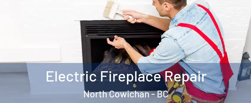 Electric Fireplace Repair North Cowichan - BC