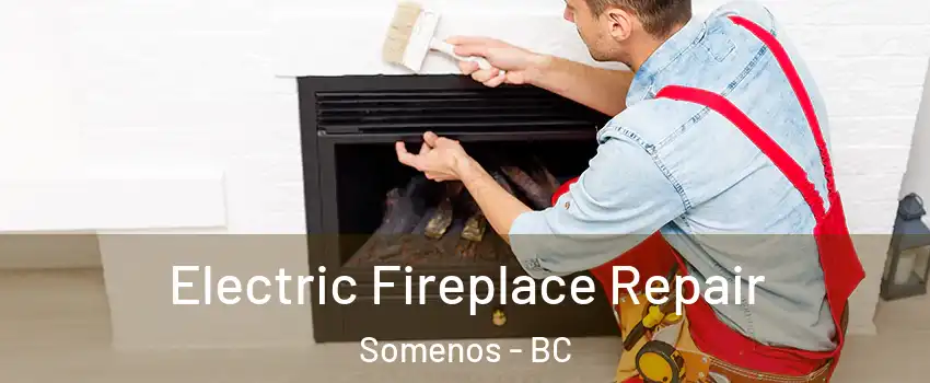  Electric Fireplace Repair Somenos - BC