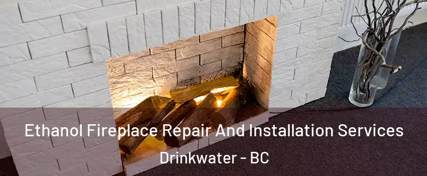  Ethanol Fireplace Repair And Installation Services Drinkwater - BC