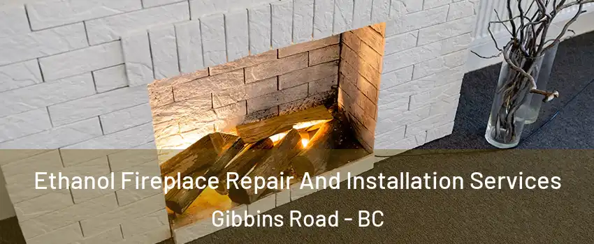  Ethanol Fireplace Repair And Installation Services Gibbins Road - BC