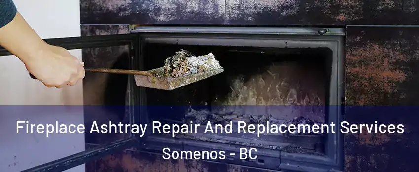  Fireplace Ashtray Repair And Replacement Services Somenos - BC