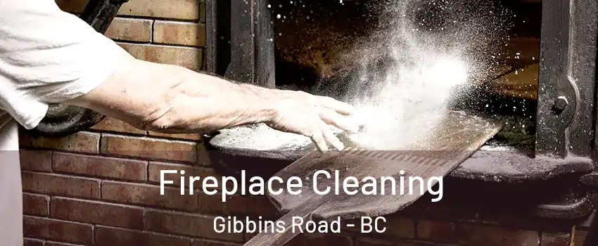  Fireplace Cleaning Gibbins Road - BC