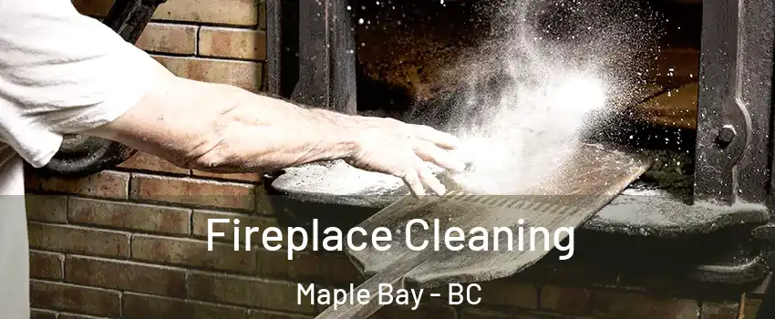  Fireplace Cleaning Maple Bay - BC