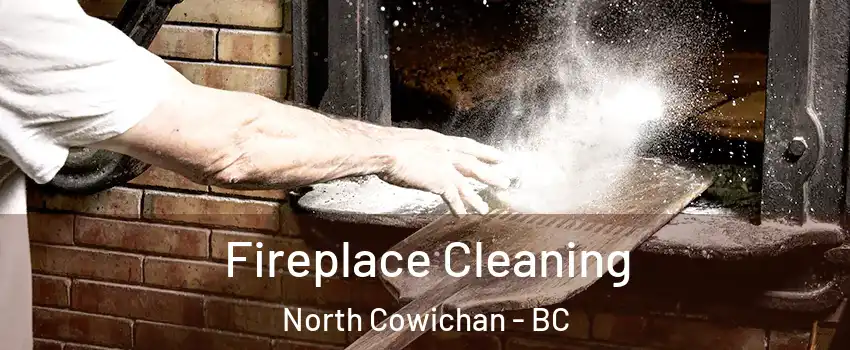  Fireplace Cleaning North Cowichan - BC