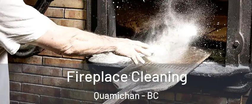 Fireplace Cleaning Quamichan - BC