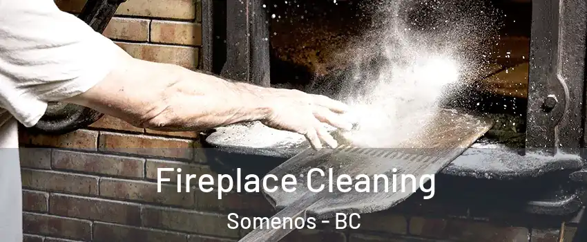 Fireplace Cleaning Somenos - BC