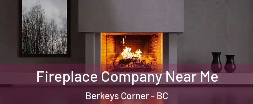  Fireplace Company Near Me Berkeys Corner - BC