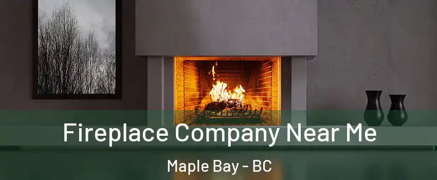  Fireplace Company Near Me Maple Bay - BC