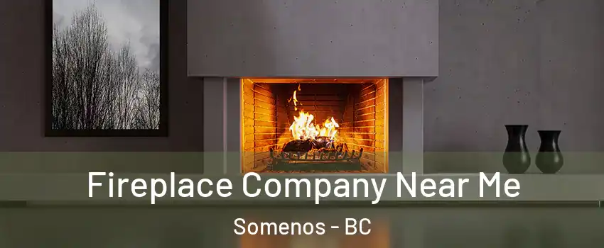  Fireplace Company Near Me Somenos - BC