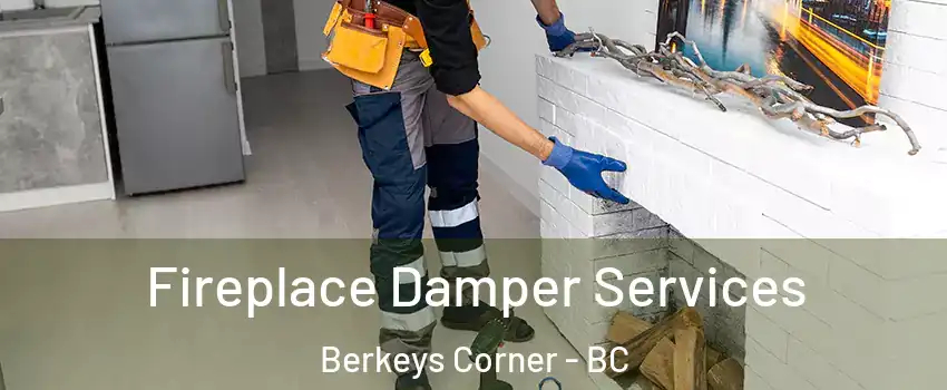  Fireplace Damper Services Berkeys Corner - BC