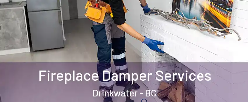  Fireplace Damper Services Drinkwater - BC