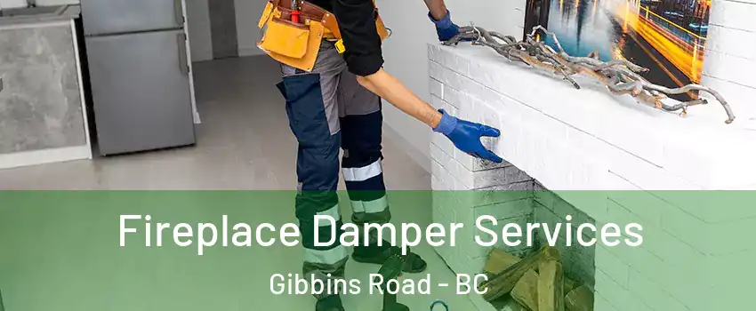  Fireplace Damper Services Gibbins Road - BC