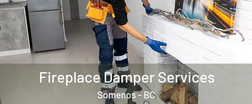  Fireplace Damper Services Somenos - BC