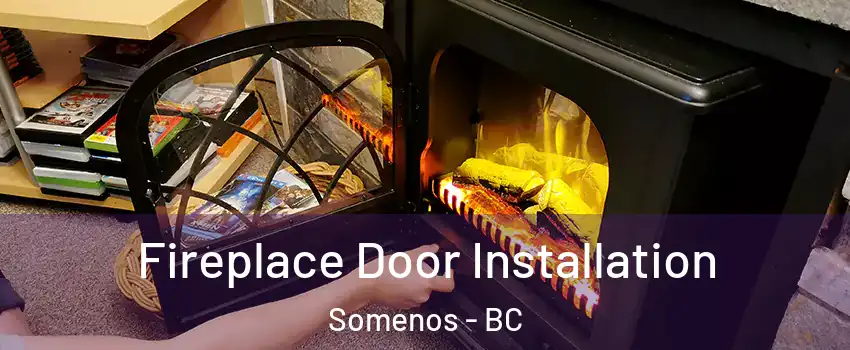  Fireplace Door Installation Somenos - BC