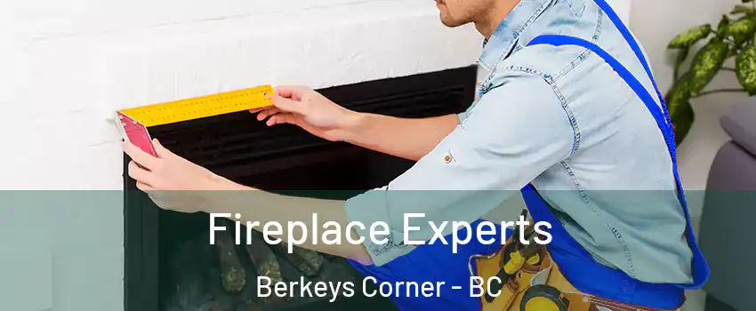  Fireplace Experts Berkeys Corner - BC