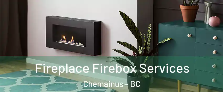  Fireplace Firebox Services Chemainus - BC
