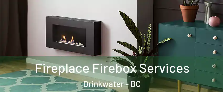  Fireplace Firebox Services Drinkwater - BC
