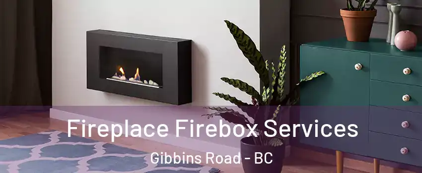  Fireplace Firebox Services Gibbins Road - BC