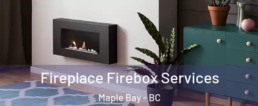  Fireplace Firebox Services Maple Bay - BC