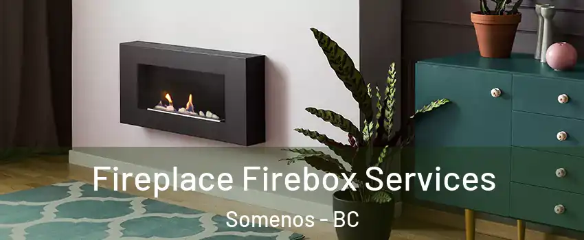  Fireplace Firebox Services Somenos - BC