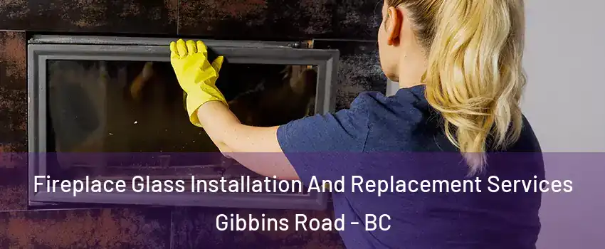  Fireplace Glass Installation And Replacement Services Gibbins Road - BC