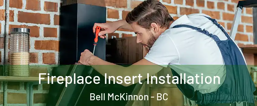  Fireplace Insert Installation Bell McKinnon - BC