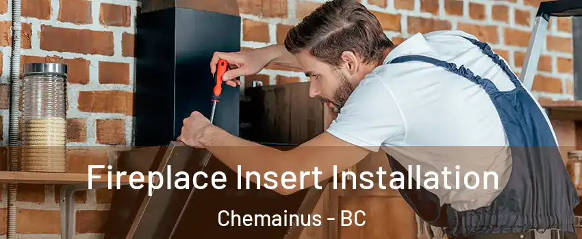  Fireplace Insert Installation Chemainus - BC