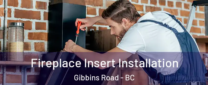  Fireplace Insert Installation Gibbins Road - BC