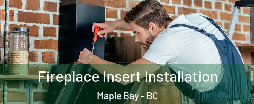  Fireplace Insert Installation Maple Bay - BC