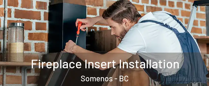  Fireplace Insert Installation Somenos - BC