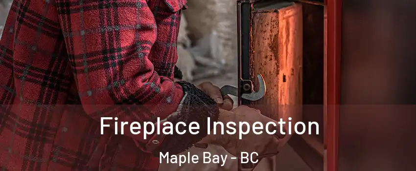  Fireplace Inspection Maple Bay - BC