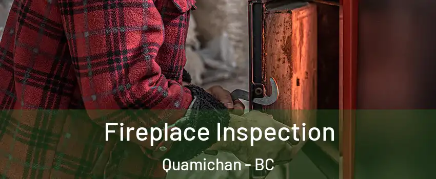  Fireplace Inspection Quamichan - BC