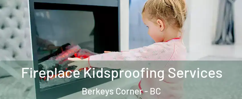  Fireplace Kidsproofing Services Berkeys Corner - BC