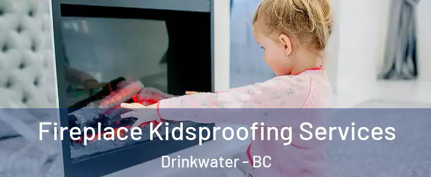  Fireplace Kidsproofing Services Drinkwater - BC