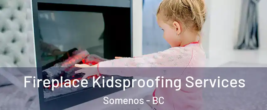  Fireplace Kidsproofing Services Somenos - BC