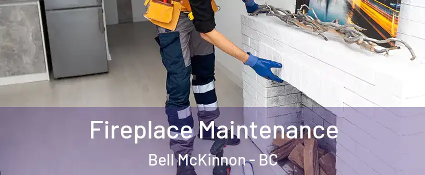 Fireplace Maintenance Bell McKinnon - BC